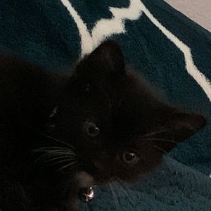 Meet your Posher, Lucyyy